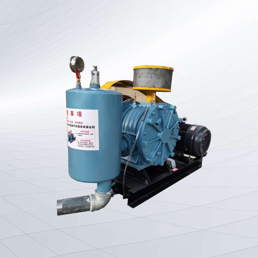 HC301S型回轉(zhuǎn)鼓風機